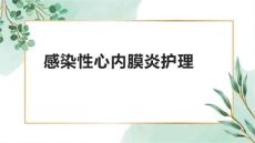 感染性心内膜炎护理