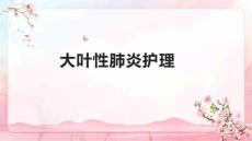 大叶性肺炎护理