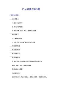 产品销售方案5篇