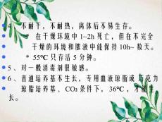 淋病教学课件.ppt