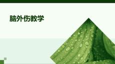 《脑外伤教学》课件
