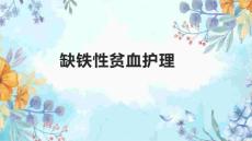 缺铁性贫血护理