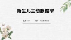 新生儿主动脉缩窄1