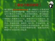绒毛膜癌.ppt