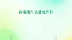 脊索瘤红软基地课件