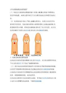 包皮过长及包茎