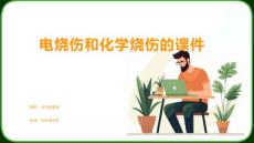 电烧伤和化学烧伤的课件