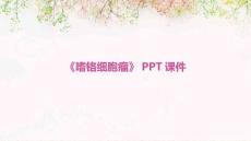 《嗜铬细胞瘤》课件