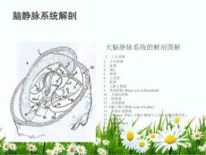 颅内静脉窦血栓形成知识.ppt