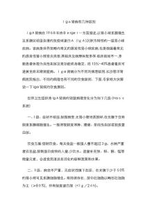 Iga肾病有几个级别