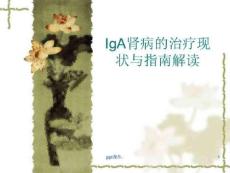 iga肾病指南解读课件