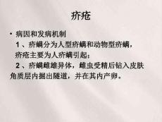 动物性皮肤病皮炎湿疹.ppt