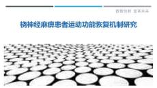 桡神经麻痹患者运动功能恢复机制研究