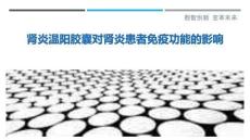 肾炎温阳胶囊对肾炎患者免疫功能的影响