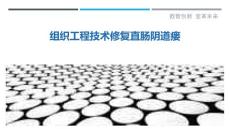 组织工程技术修复直肠阴道瘘