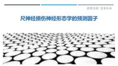 尺神经损伤神经形态学的预测因子