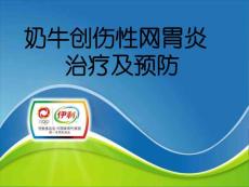 创伤性网胃心包炎课件