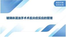 玻璃体混浊手术术后炎症反应的管理