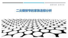 二尖瓣狭窄的家族连锁分析