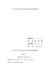 关于对改革开放以来家乡的变化调查的调研报告