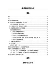 手麻科实习小结(工作总结 资料)