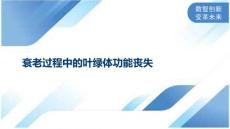 衰老过程中的叶绿体功能丧失