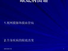 眼底病图谱
