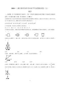 2024年湖南省三湘大聯考中考模擬數學試題(無答案)
