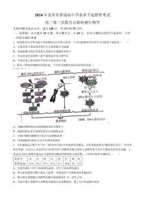 重慶市普通高中學業水平選擇性考試高三第三次聯合診斷檢測生物試題（康德卷）（含答案）