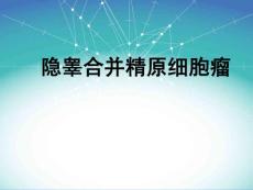 腹内型隐睾课件