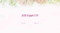 迷路炎ppt课件