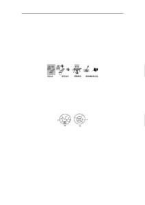 第7課時(shí) 綠色植物是生物圈中有機(jī)物的制造者