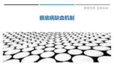 眼底病缺血机制