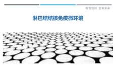 淋巴结结核免疫微环境
