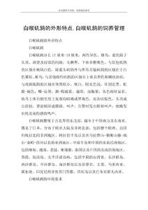白喉矶鸫的外形特点,白喉矶鸫的饲养管理