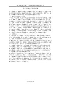 花生营养缺乏症及补救措施