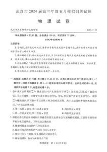湖北武漢2024屆高三五月模擬訓練物理試題含答案