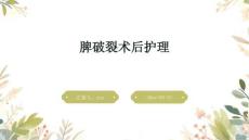 脾破裂术后护理ppt