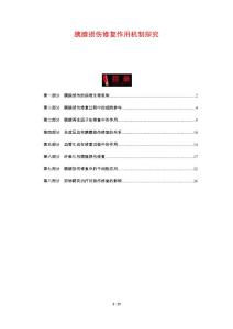 胰腺损伤修复作用机制探究
