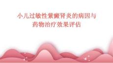 小儿过敏性紫癜肾炎的病因与药物治疗效果评估