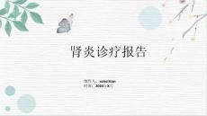 肾炎诊疗报告