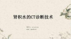 肾积水的CT诊断技术