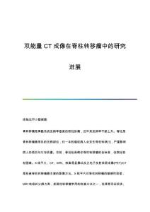 双能量CT成像在脊柱转移瘤中的研究进展