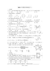 2024中考數(shù)學訓練卷十三
