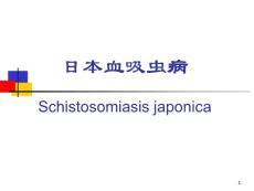 -日本血吸虫病Schistosomiasisjaponica