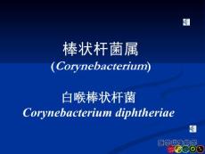 白喉棒状杆菌
