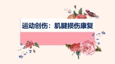 运动创伤肌腱损伤康复