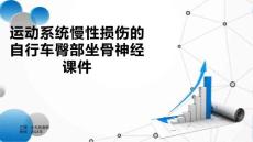 运动系统慢性损伤的自行车臀部坐骨神经课件