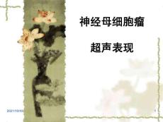 神经母细胞瘤超声表现