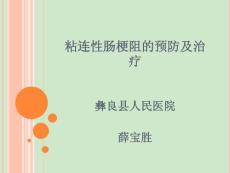 粘连性肠梗阻治疗 薛宝胜